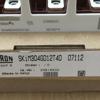 SKIM304GD12T4D